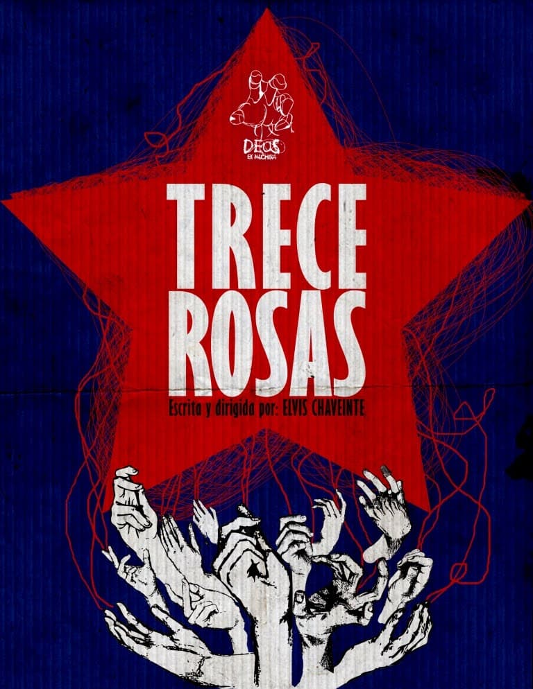 Póster de la obra Trece Rosas