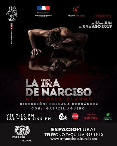 Póster de la obra La Ira de Narciso